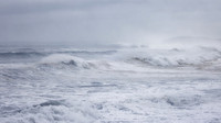 30-foot waves at Bodega Head